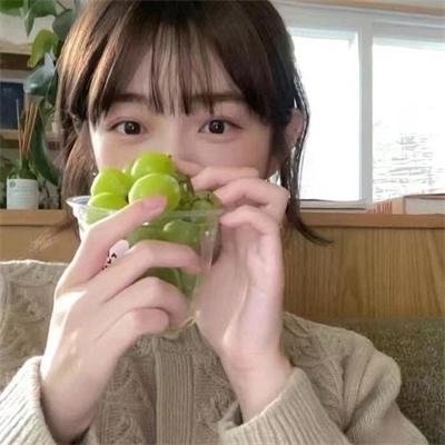 海豚之眼
